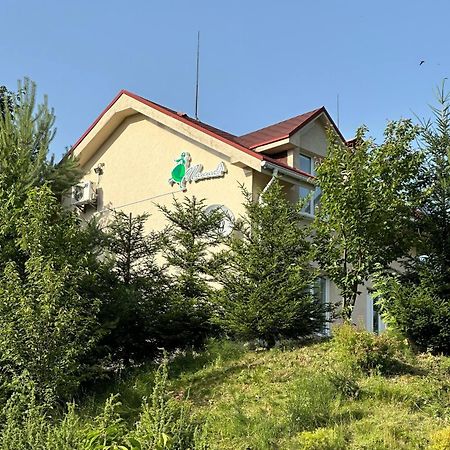 Panna Hotel Солочин Экстерьер фото